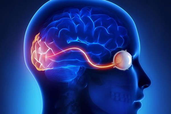 Neuro-Ophthalmology